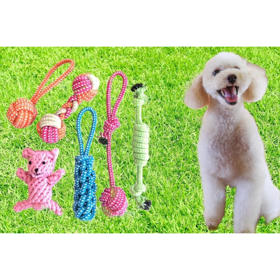 urban field 犬 おもちゃ 噛む玩具 噛み癖予防 6個セット : urban