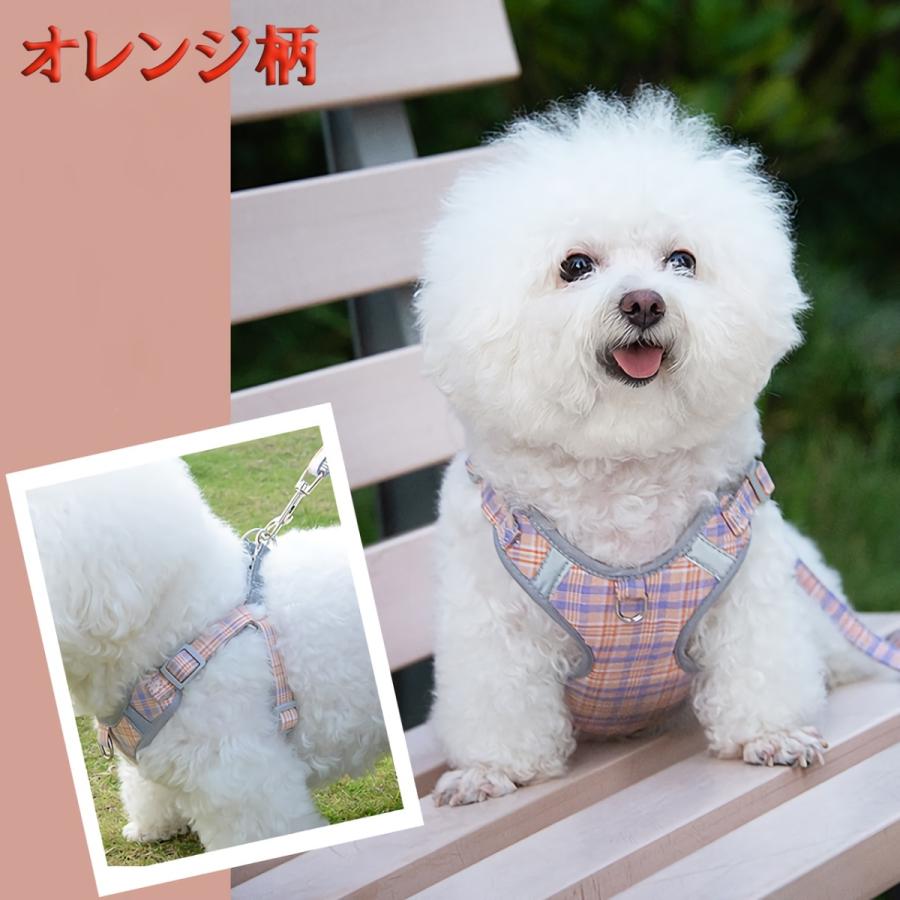 urban field ハーネス リード セット 犬用サスペンダーとリードの
