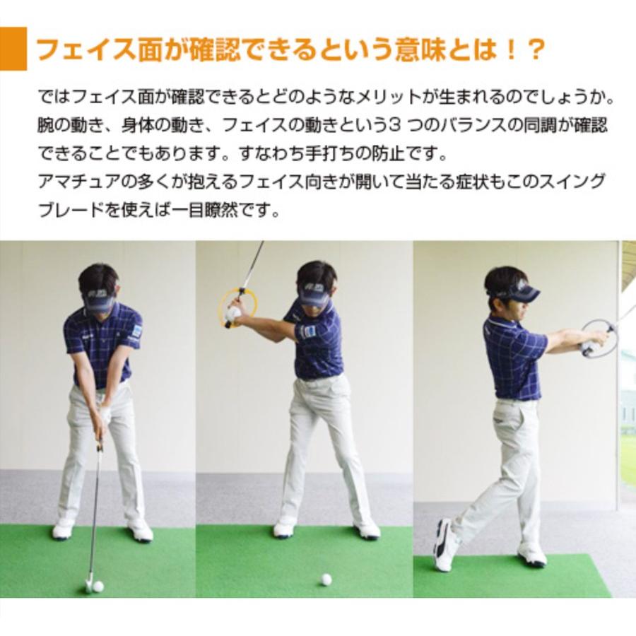 ヤマニゴルフ ゴルフ 練習 スイングブレード 内藤雄士監修 : TWICE UP