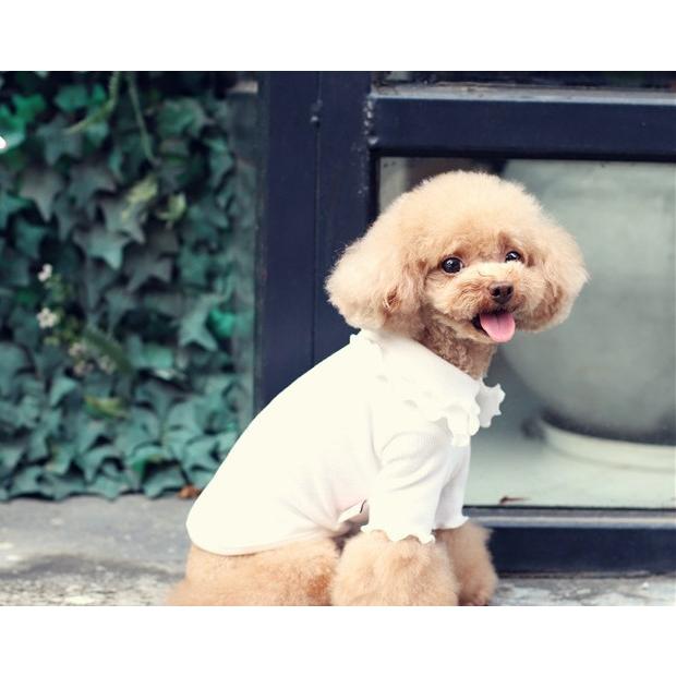 送料無料 春 秋 サイズ交換対応 犬服 ドッグウェア 秋 冬 春 可愛い おしゃれ 犬用トレーナー ロンt Tシャツ レトロ風リブニット C Twiggy Style 通販 Yahoo ショッピング