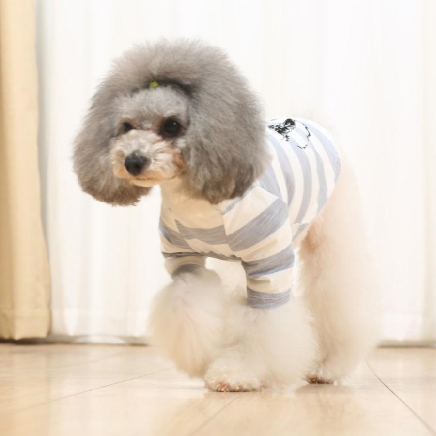 送料無料 New 春 夏 サイズ交換対応 犬服 ドッグウェア 春 夏 可愛い 犬用トレーナー Tシャツ ボーダー イラストボーダールームシャツ C Twiggy Style 通販 Yahoo ショッピング