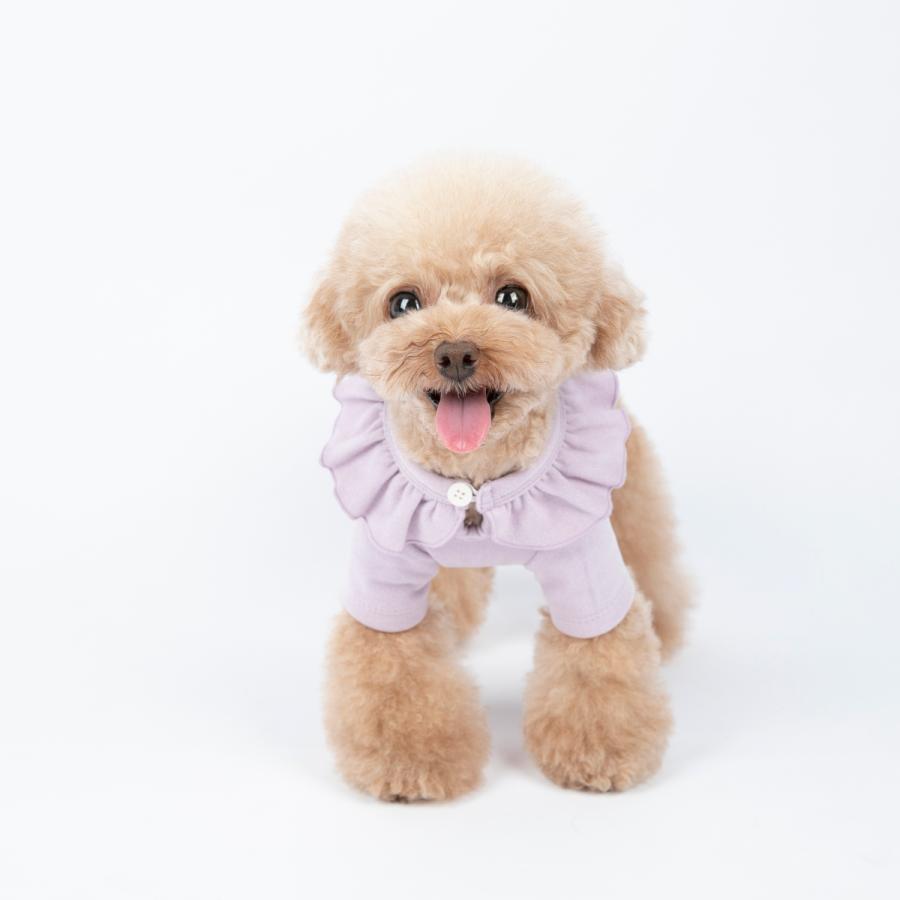 春 秋 サイズ交換対応 送料無料 犬服 ドッグウェア 春 秋 かわいい おしゃれ シンプル プチプラ 犬用tシャツ フリルカラースムースニット C Twiggy Style 通販 Yahoo ショッピング