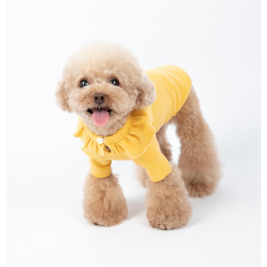 春 秋 サイズ交換対応 送料無料 犬服 ドッグウェア 春 秋 かわいい おしゃれ シンプル プチプラ 犬用tシャツ フリルカラースムースニット C Twiggy Style 通販 Yahoo ショッピング