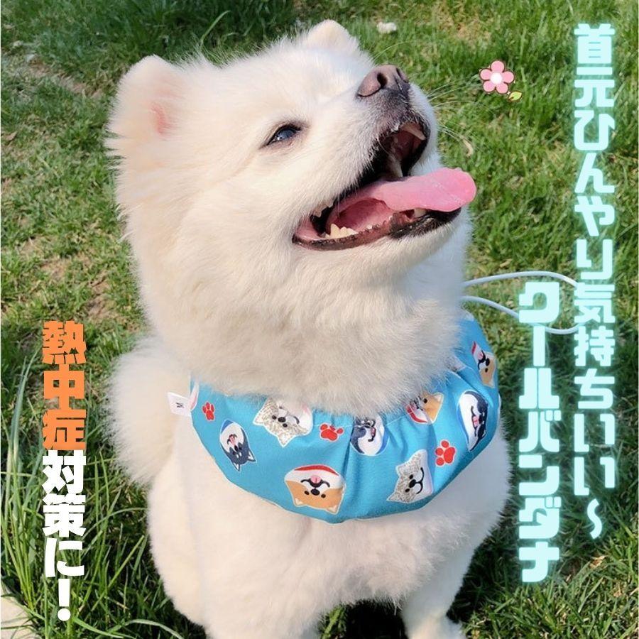 人気の新作 クールバンド 保冷剤付き 犬 クールバンダナ 夏 ペット用暑さ対策 首ひんやり 熱中症対策 冷却 首冷やす つめたい クールネック Aynaelda Com