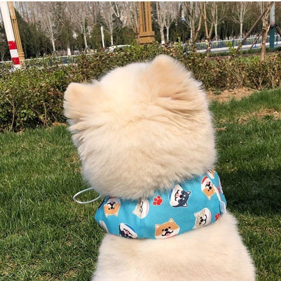 クールバンド 保冷剤付き 犬 クールバンダナ 夏 ペット用暑さ対策 首ひんやり 熱中症対策 冷却 首冷やす つめたい クールネック C Twiggy Style 通販 Yahoo ショッピング