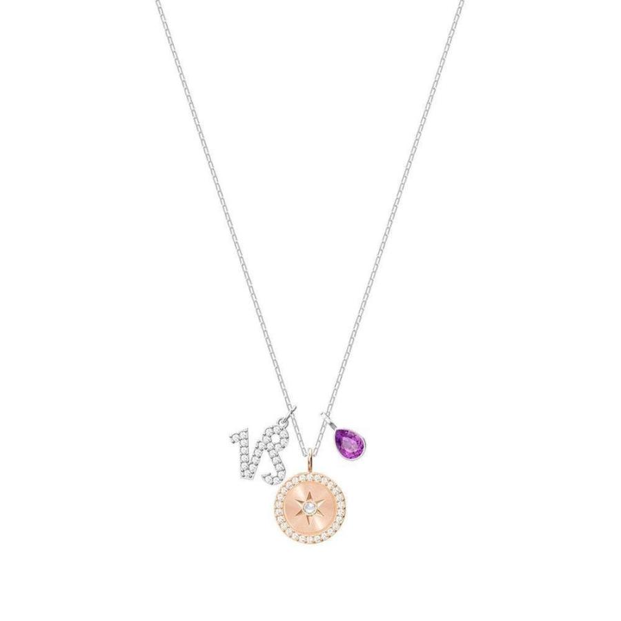 スワロフスキークリスタルゾディアック山羊座ペンダントネックレス