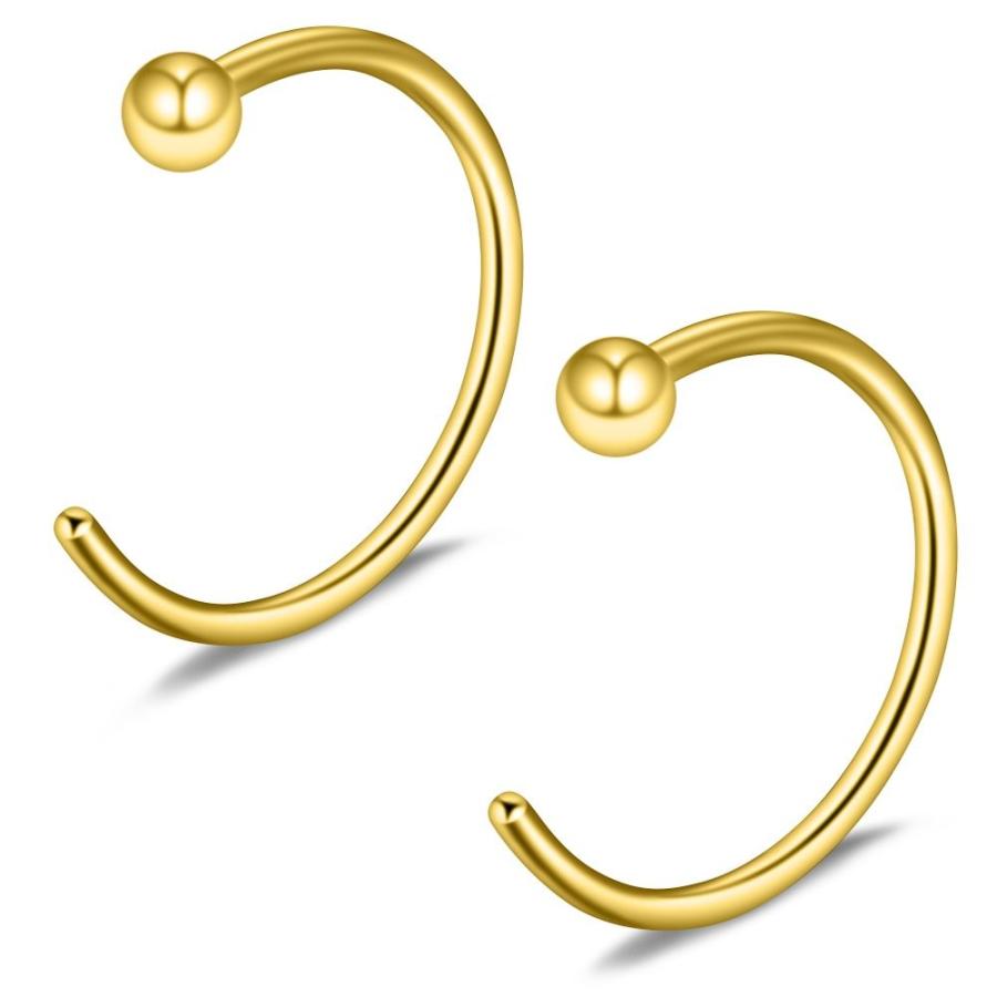 Ruifan 6pcs Stainless Steel Body Jewelry Piercing Earrings Nose Hoop R :20190418214131 01188 b:twilight shop