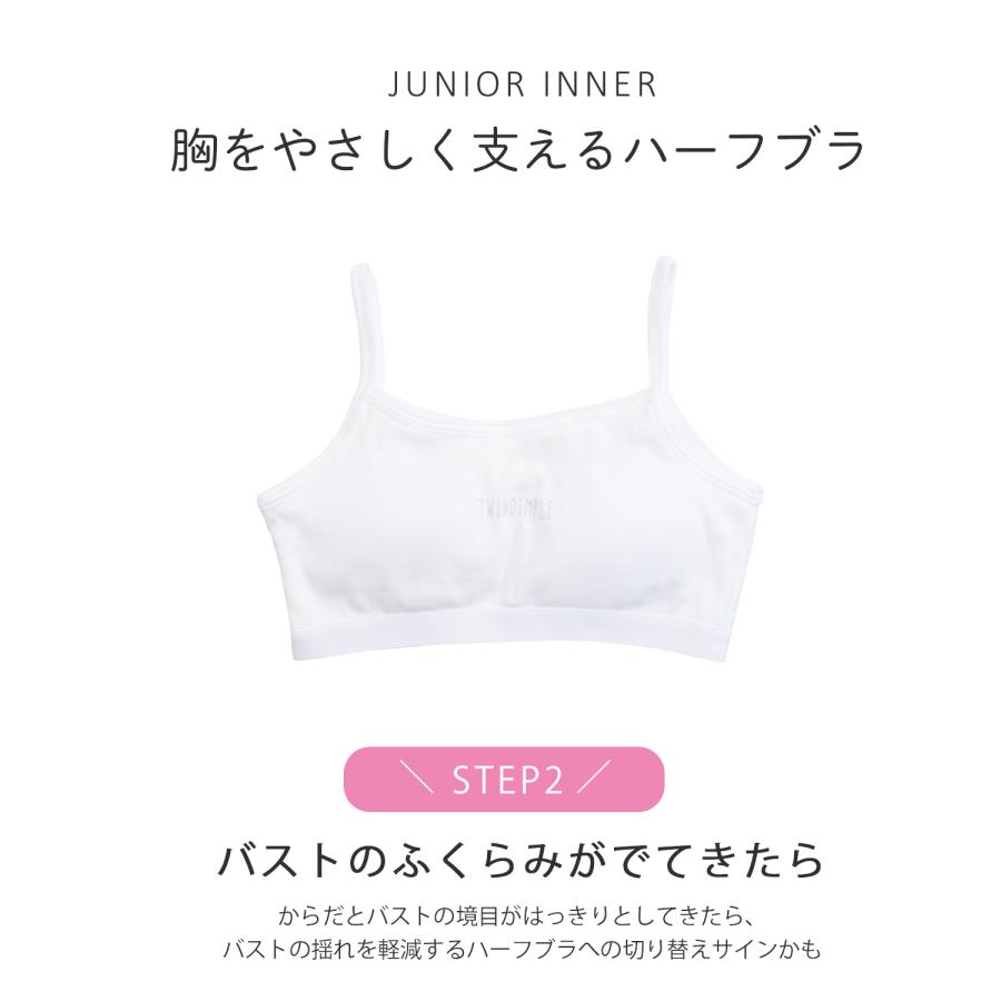 ☆値下げ☆ 日本製 新品 ブラジャーとニッパー２点セット A65～H100サイズ Amazon | ハセガワ トライツール エッチング用ニッパー プラモデル用