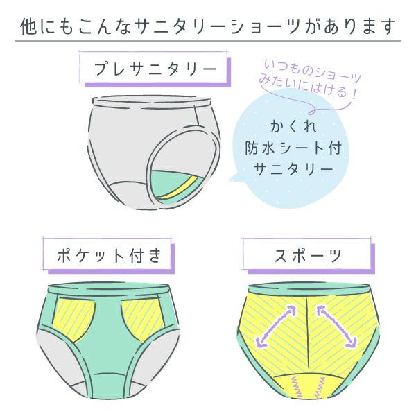 ショーツ2サニタリー2 GUNZE（グンゼ） サニタリーショーツ 綿 羽根つき ひびきにくい M〜LL