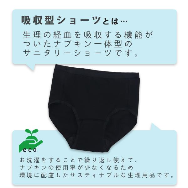宅配便送料無料 サニタリーショーツ 150 女の子 サニタリーショーツ 羽根つき 生理用ショーツ 生理ショーツ レディース M〜LL (サニタリー 生理 ショーツ 生理用パンツ ルコック 下着)