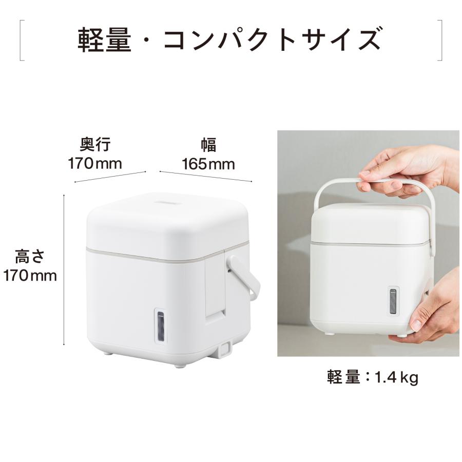 ツインバード（TWINBIRD） フェイススチーマー 美顔器 ESH-2787W