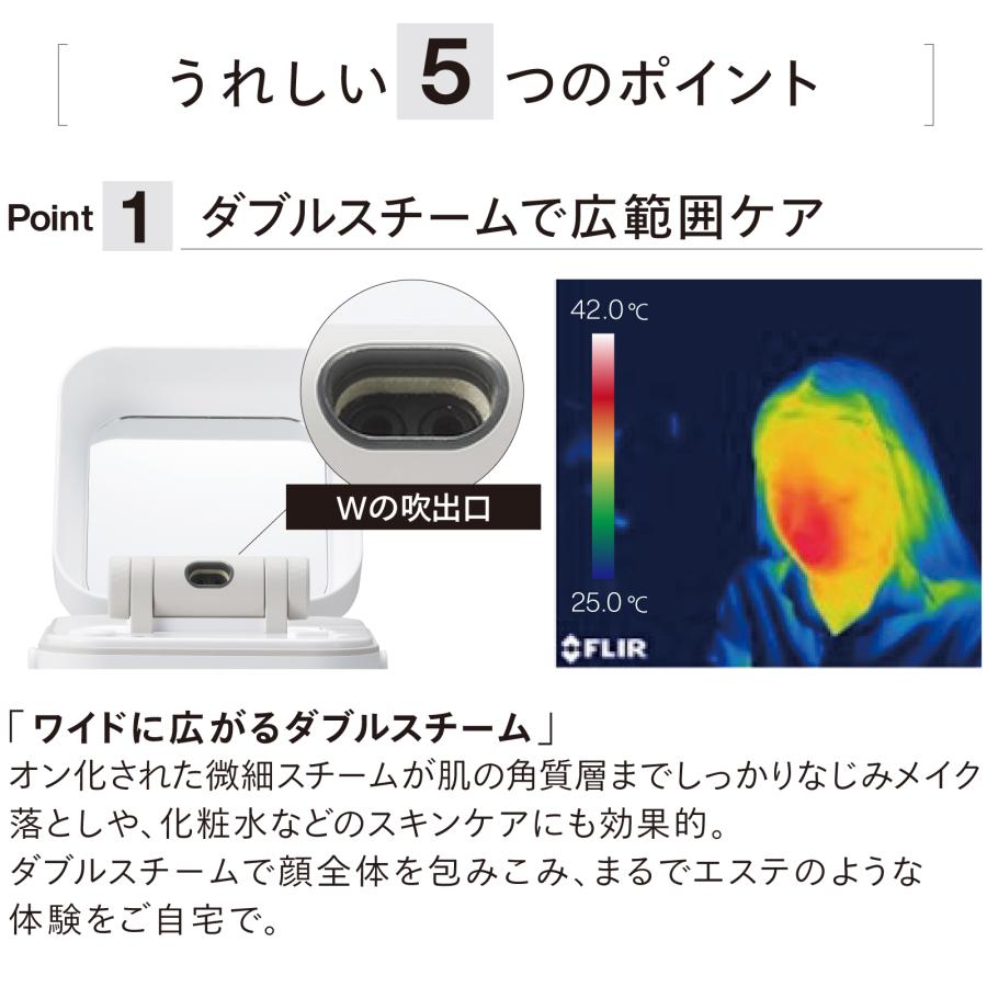 ツインバード（TWINBIRD） フェイススチーマー 美顔器 ESH-2787W