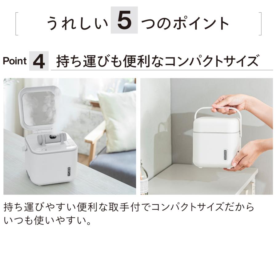 ツインバード（TWINBIRD） フェイススチーマー 美顔器 ESH-2787W