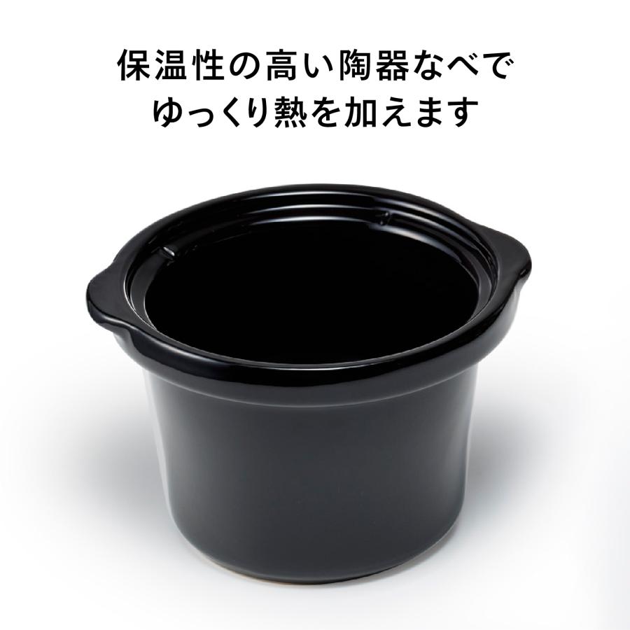 ツインバード（TWINBIRD） 【新商品】スロークッカー 電気調理鍋 EP