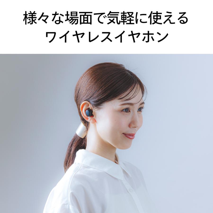 ツインバード（TWINBIRD） 【公式】ワイヤレスイヤホン AV-9344B