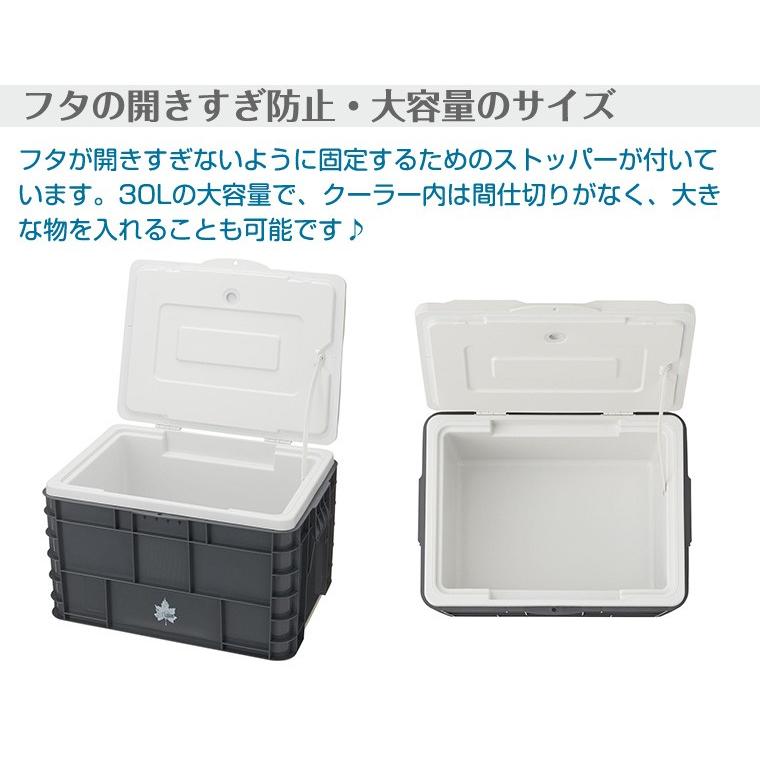 シンプルでおしゃれ ロゴス(LOGOS) サーモテクト 氷点下クーラー タフ