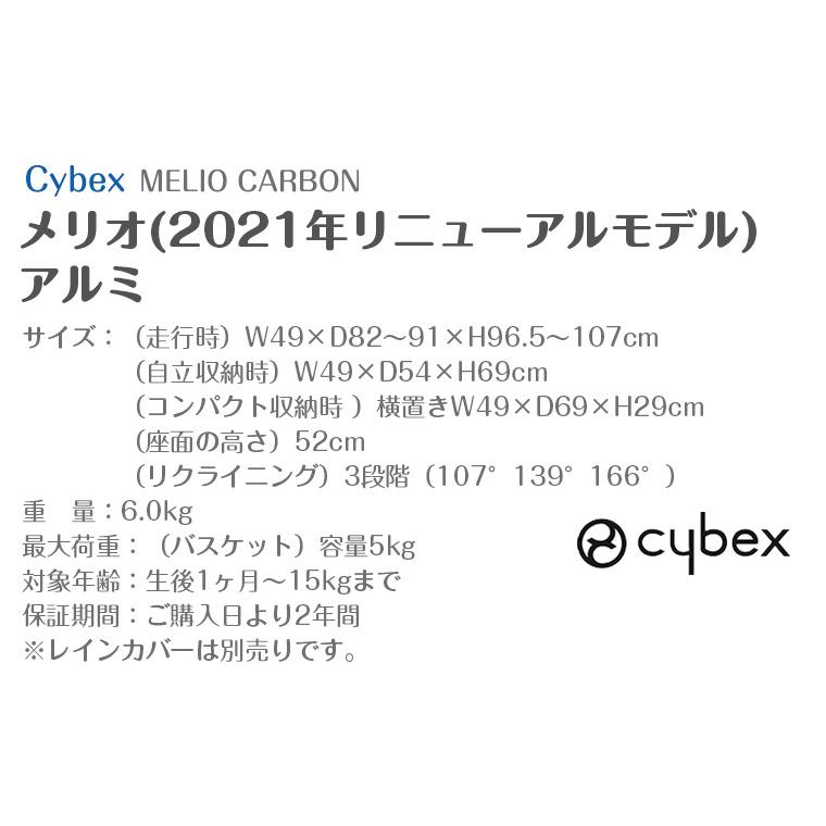 正規販売店 2年保証 2021年リニューアルモデル サイベックス