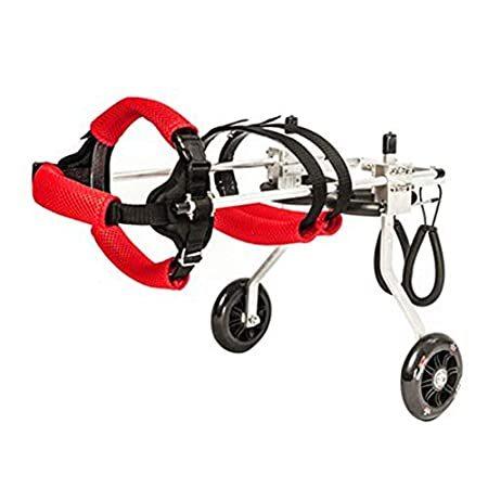 最適な材料 Cora Pet Adjustable Aluminum Alloy 2 Wheel Dog Wheelchair Disabled Dog Hind B08b67y8lt Twin Spica 通販 Yahoo ショッピング 独創的 Www Apbgroup Net