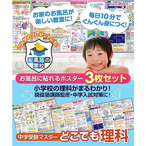 セール中学受験マスター理科 お風呂の学校 中学受験マスターどこでも理科 お風呂ポスター 3枚セット 日本製 中学受験に必要な理科まとめ B3サイズ 学習 知育 防｜twinstar-yshop｜02