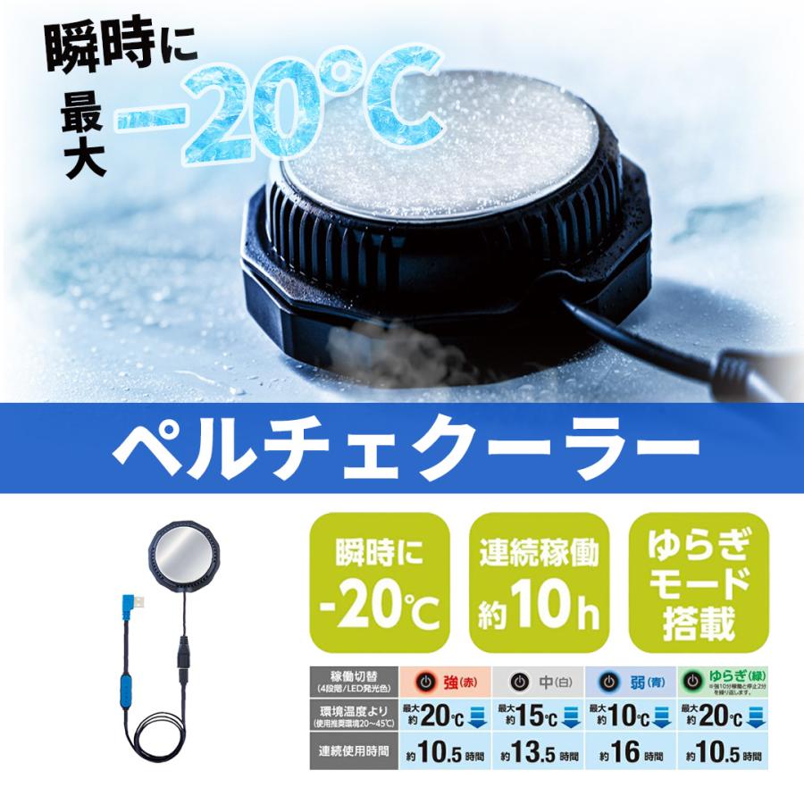 バイク用 アイスベスト Fサイズ アイスパック 6個 ペルチェ スノー