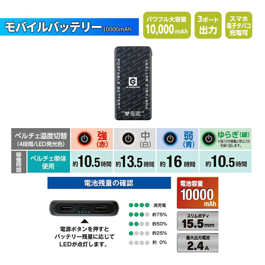 バイク用 アイスベスト Fサイズ アイスパック 6個 ペルチェ スノー