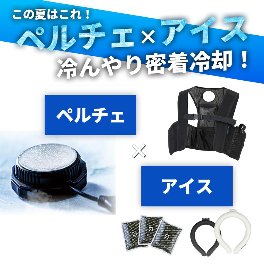バイク用 アイスベスト アイスパック 6個 ペルチェ スノーリング フル
