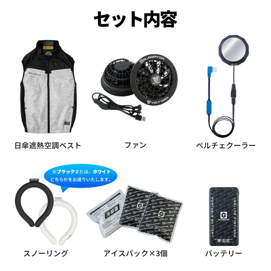 氷撃+ クールベスト ペルチェ　2個セット　空調服 空調ベスト ペルチェ アイス 空調ウェア フルセット 作業着 作業服