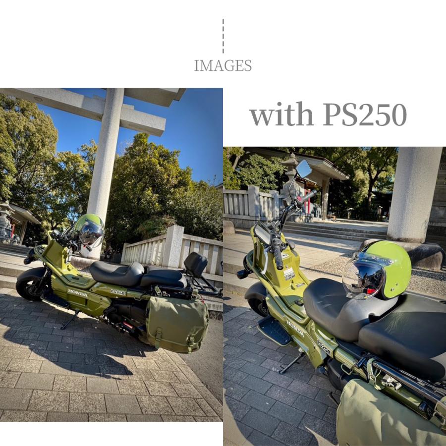 TWR ジェットヘルメット クロスカブ ZOOMER PS250 カラー おしゃれ