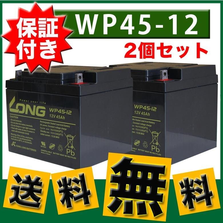保証書付き 2個セット 保証付き セニアカー用 バッテリー WP45