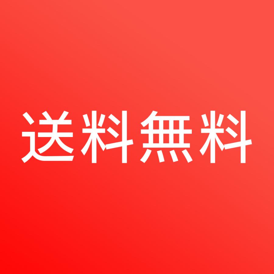 サドルカバー 自転車 エアロバイク フィットネスバイク 大型 26×28cm |  | 08