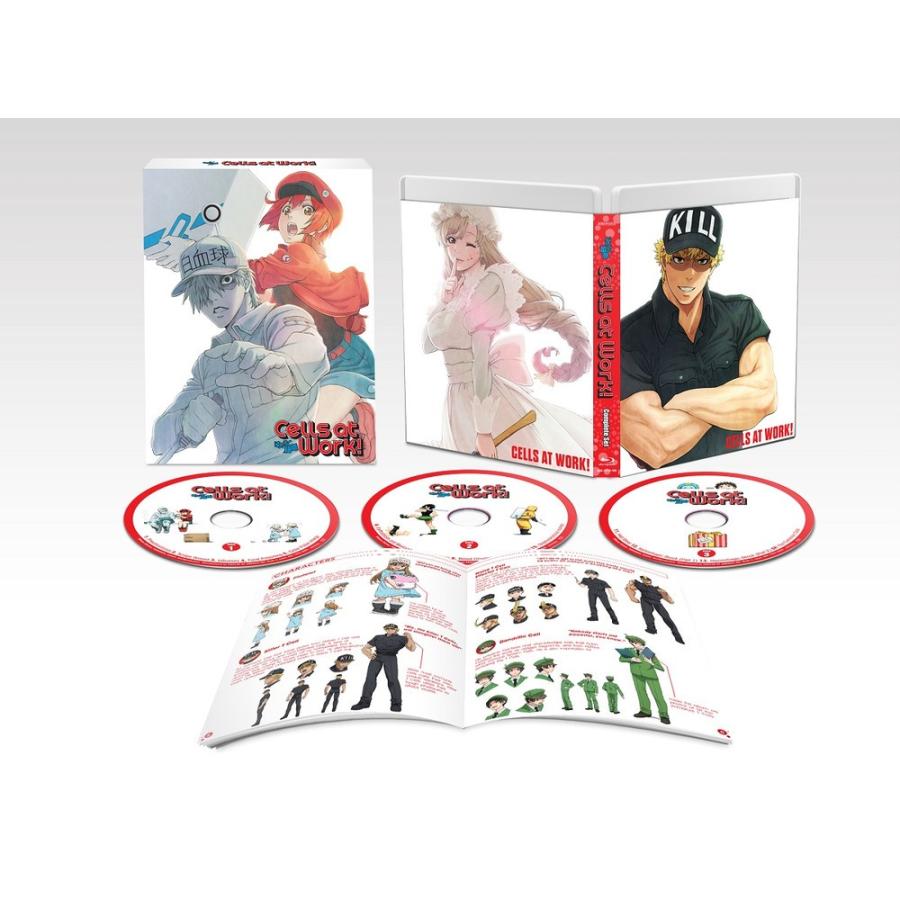 はたらく細胞 全13話+特別編BOXセット ブルーレイ【Blu-ray】 : ツーアール - 通販 - Yahoo!ショッピング はたらく細胞 全13話+特別編BOXセット ブルーレイ【Blu-ray】 : ツーアール - 通販 - Yahoo!ショッピング