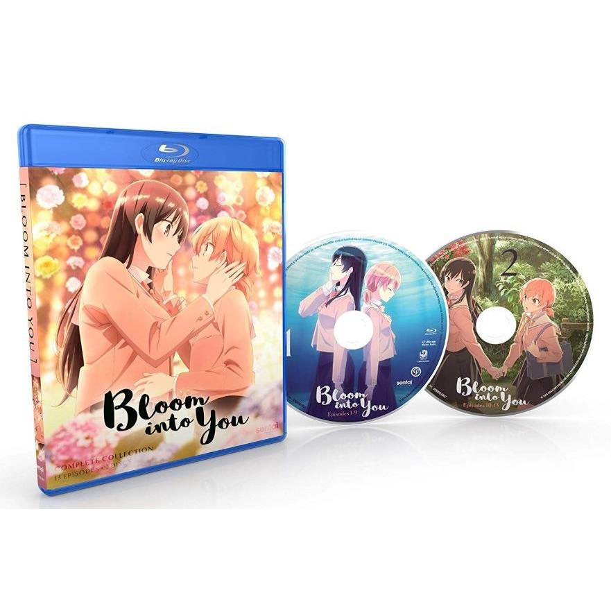 やがて君になる 全13話BOXセット プレミアム版 ブルーレイ【Blu-ray】 やがて君になる 全13話BOXセット プレミアム版 ブルーレイ【Blu