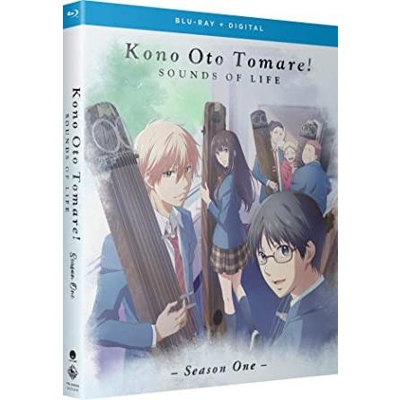 この音とまれ！ 第1期 全13話BOXセット ブルーレイ Blu-ray