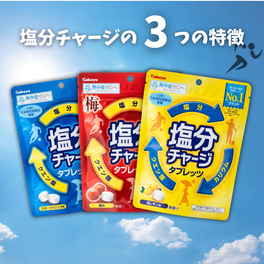 Kabaya カバヤ 塩分チャージタブレッツ 計100粒以上 スポーツドリンク
