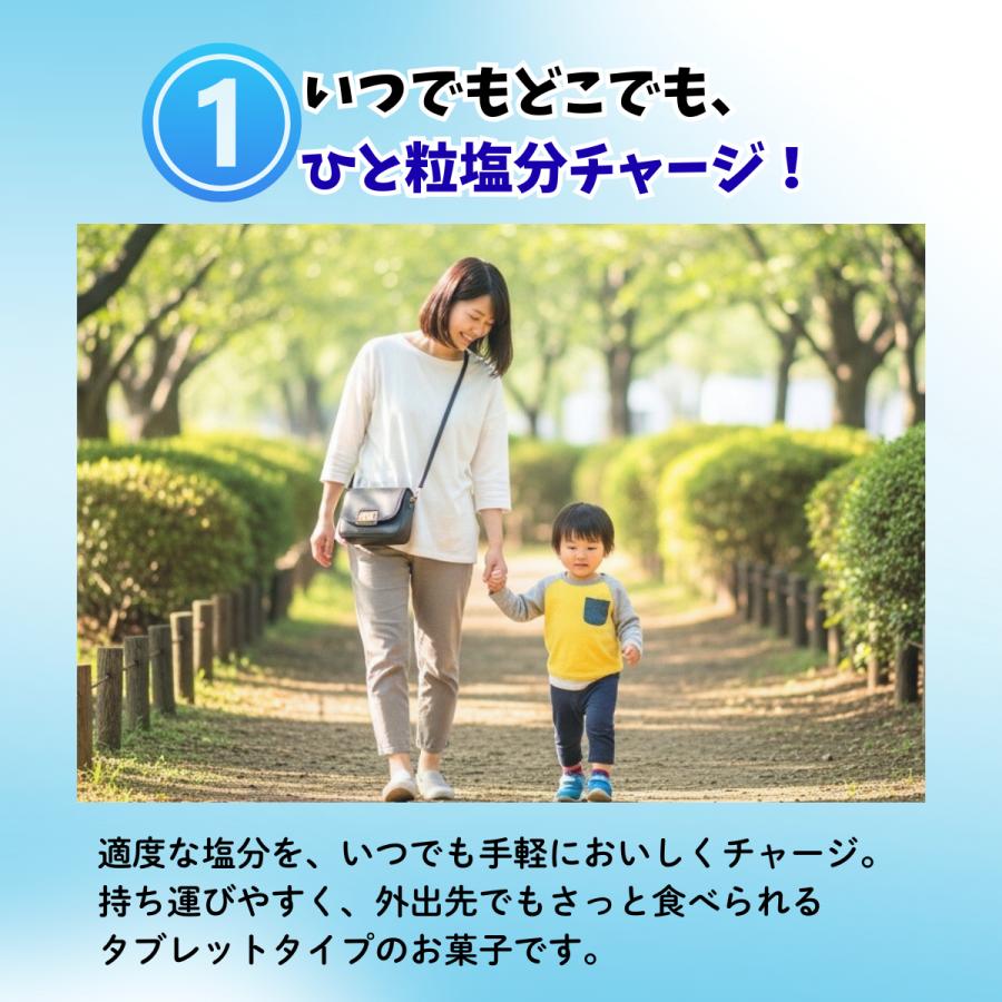 カバヤ 塩分チャージタブレッツ 計100粒以上 スポーツドリンク味 レモン味 梅味 大容量 業務用 big 塩分チャージタブレット 熱中症 | Kabaya | 02