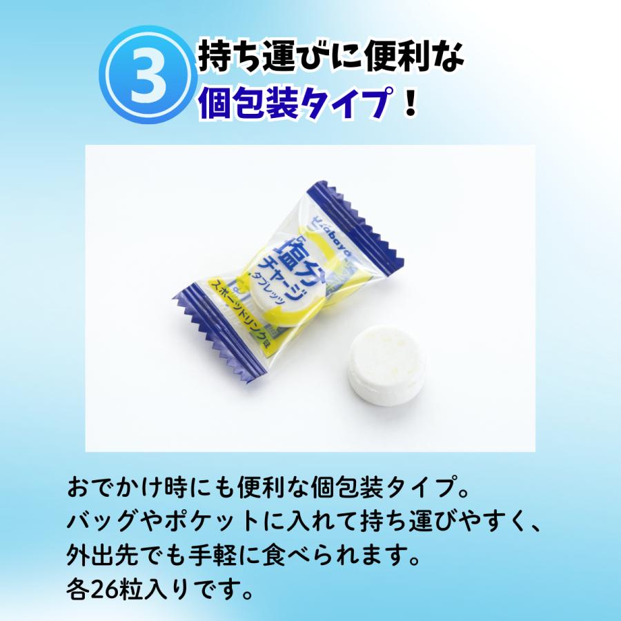Kabaya カバヤ 塩分チャージタブレッツ 計100粒以上 スポーツドリンク
