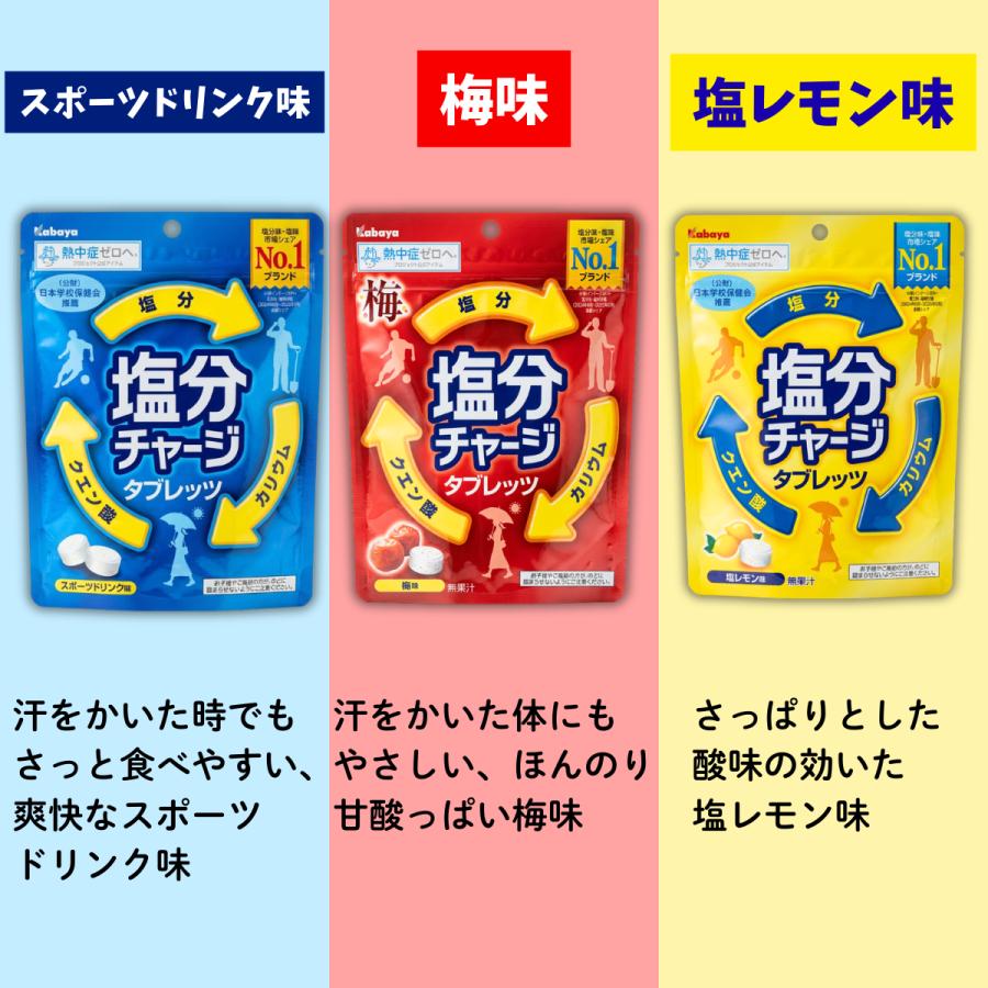 【まる様】塩分チャージ スポーツドリンク レモン 運動 クエン酸 カリウム Kabaya カバヤ 塩分チャージタブレッツ 計100粒以上 スポーツドリンク