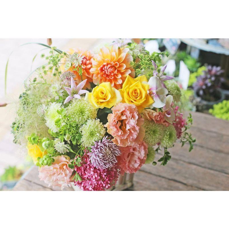 アレンジメントフラワー 生花 ギフト LLサイズ イメージ(可愛い)大臣賞受賞デザイナー おまかせアレンジメント イメージ 生花 ギフト LLサイズ 可愛い 大臣賞受賞デザイナー おまかせアレンジメント 　 サイズ