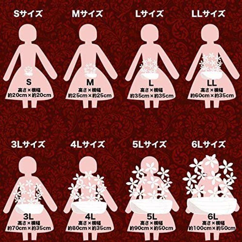 アレンジメントフラワー 生花 ギフト LLサイズ イメージ(可愛い)大臣賞受賞デザイナー おまかせアレンジメント イメージ 生花 ギフト LLサイズ 可愛い 大臣賞受賞デザイナー おまかせアレンジメント 　 サイズ