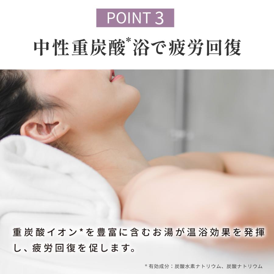 BARTH（バース） 中性重炭酸入浴剤 RELAX LavenderFog 120錠