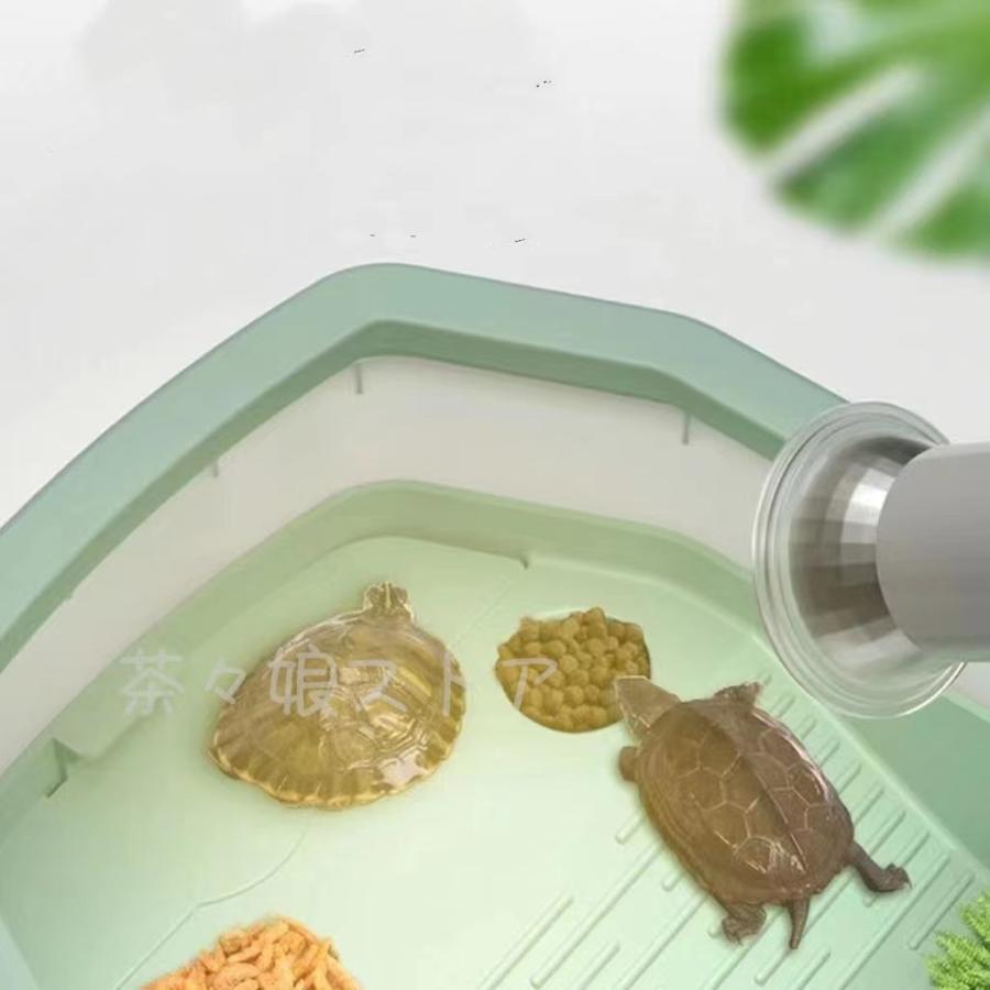 Sale 96 Off 亀水槽 両生類 飼育ケース 飼育ボックス 排水孔 飼育水槽 カメ生息地 分離式 エサ皿 脱出防止フェンス カメ 観察 ペット用品 Aynaelda Com