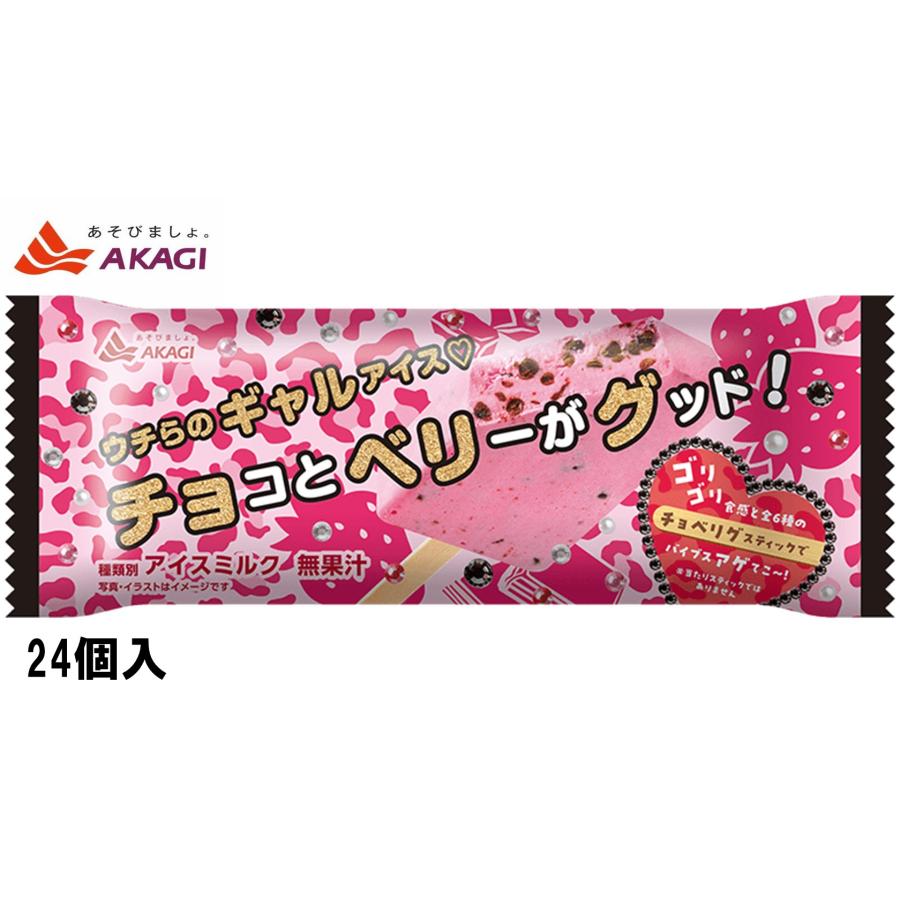 赤城乳業 チョコとベリーがグッド! 70ml×24本 氷菓 アイス 赤城乳業 チョコとベリーがグッド! 70ml×24本 氷菓 アイス
