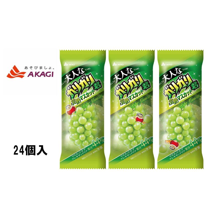 赤城乳業 大人なガリガリ君完熟マスカット 100ml×24個入 氷菓 アイス