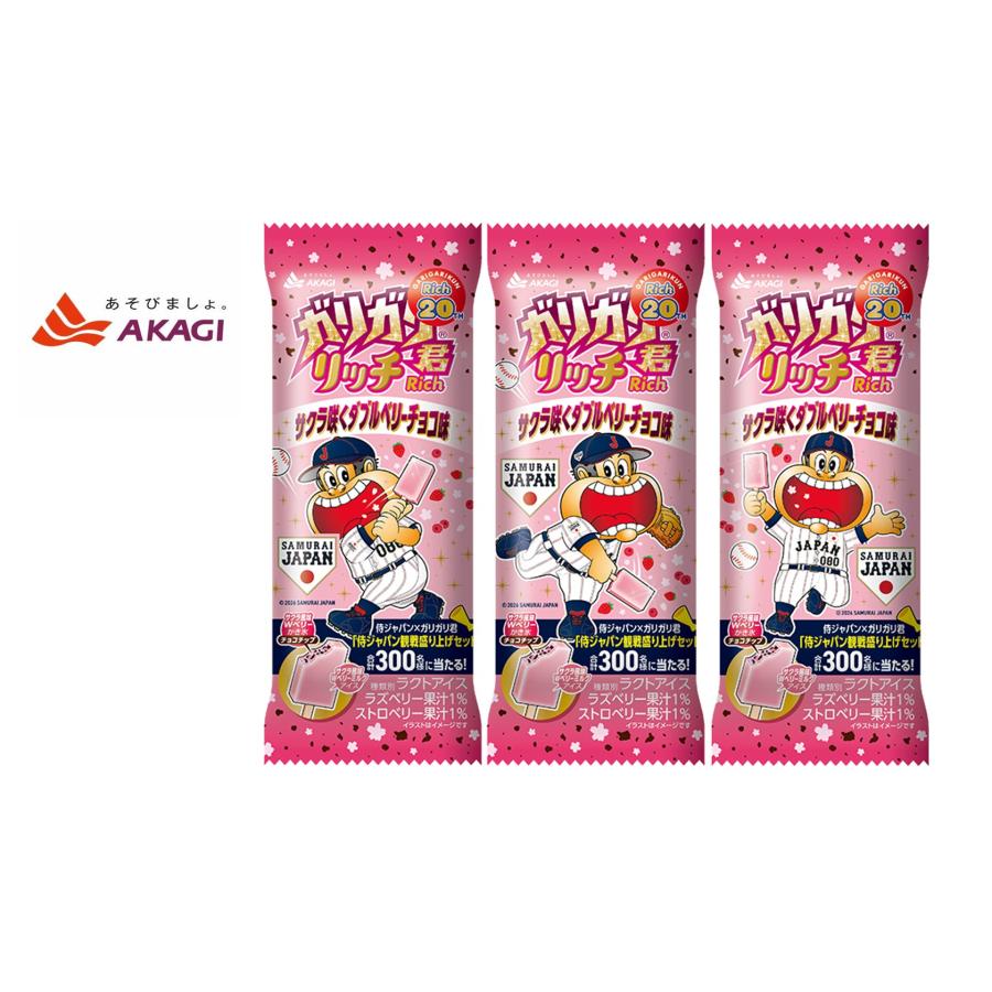 赤城乳業 ガリガリ君リッチサクラ咲くダブルベリーチョコ 100ml×24本