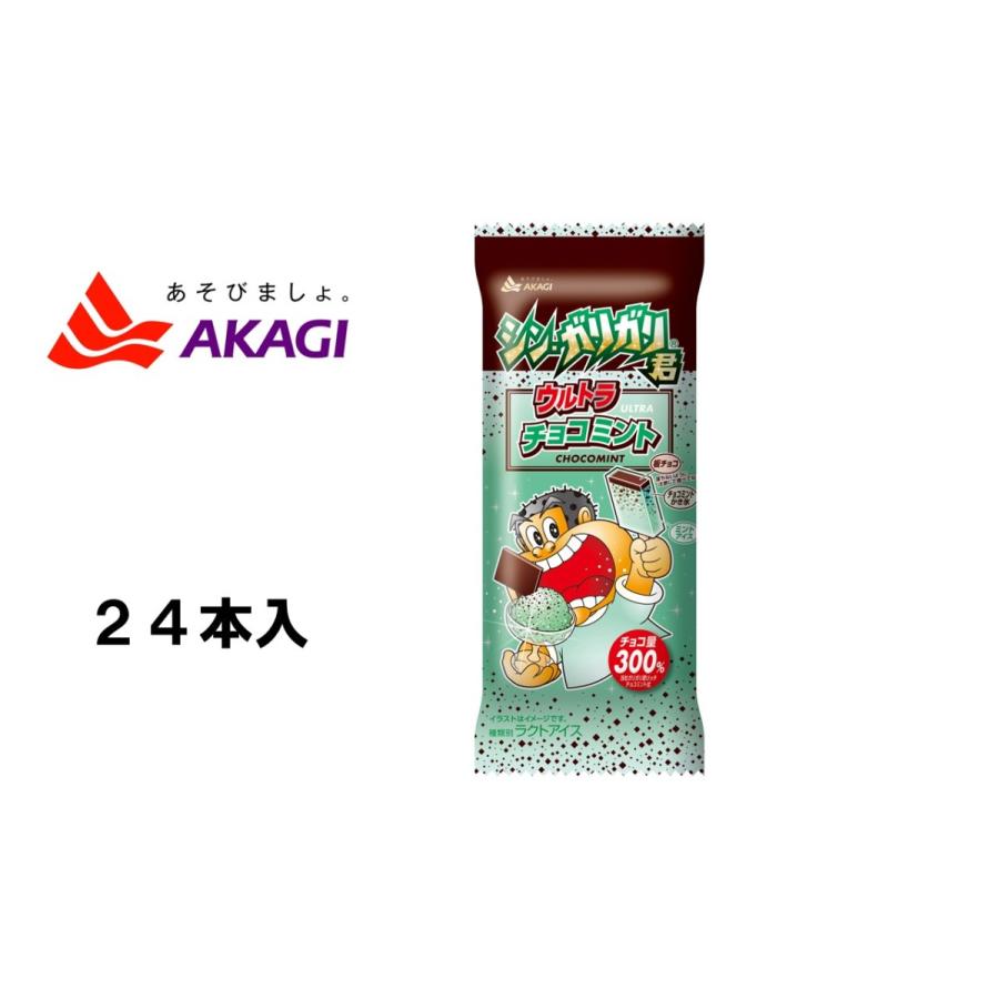 赤城乳業 特価品コーナー ガリガリ君リッチチョコミント 100ｍｌ 24個 アイスクリーム