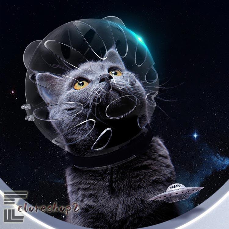 猫 口輪 猫マスク 透明 猫用 エリザベスカラー ペットマスク 猫用