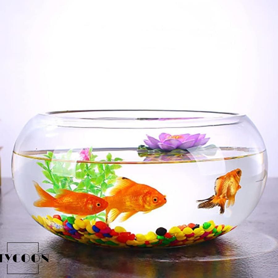 金魚鉢 丸型金魚鉢 ガラス 透明 テーブル アクアリウム ボウル 観葉