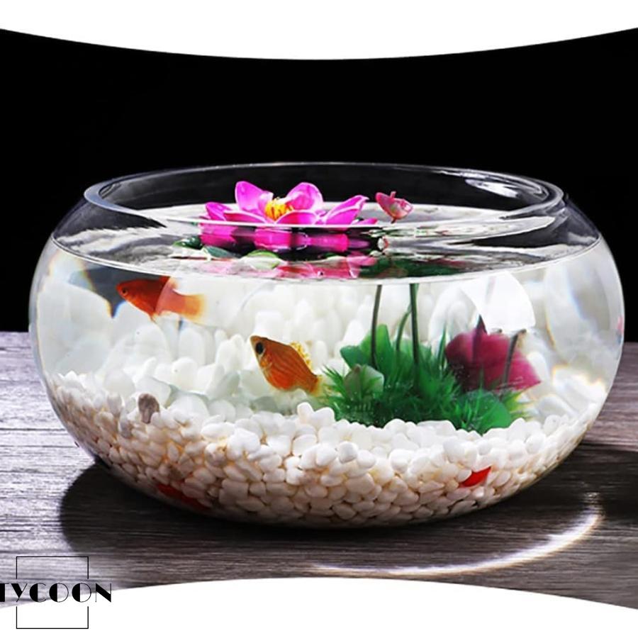 金魚鉢 丸型金魚鉢 ガラス 透明 テーブル アクアリウム ボウル 観葉