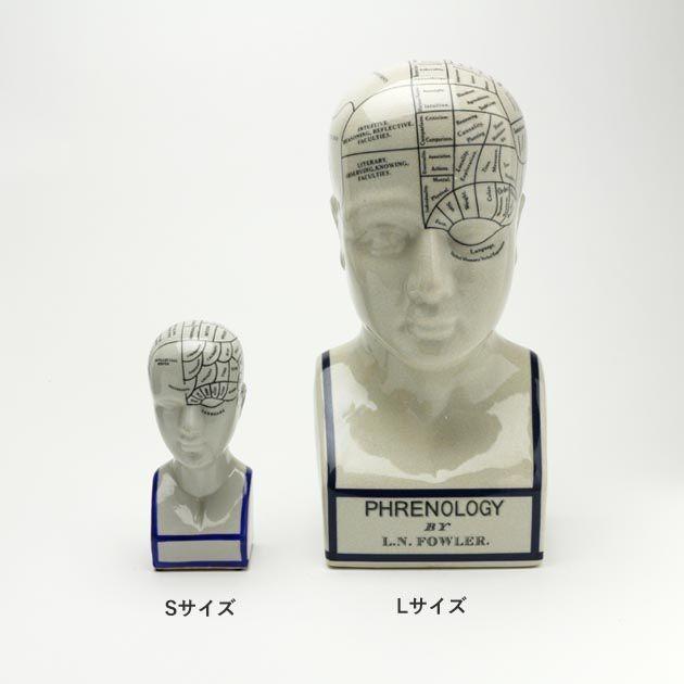 THE PHRENOLOGY オブジェサイズ L