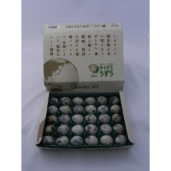 うずら卵　特選４箱（１２０個）入 | 